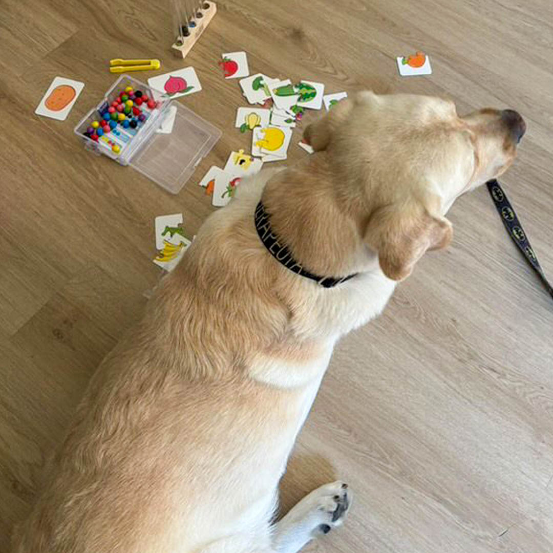 Dziecko podczas zajęć z dogoterapii w Radomiu